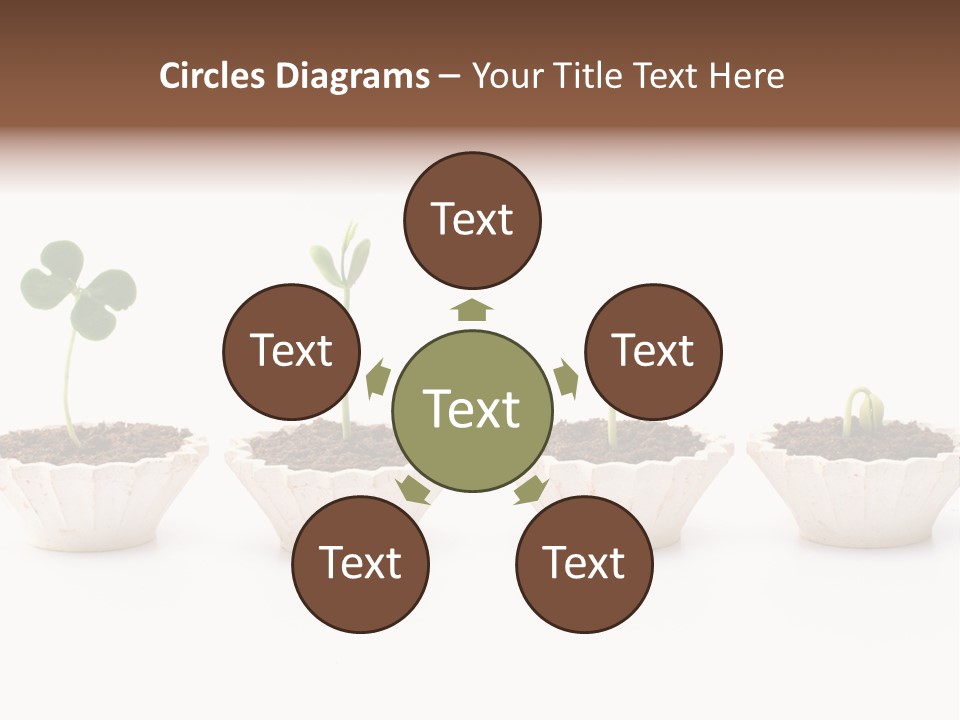 New Root Soil PowerPoint Template
