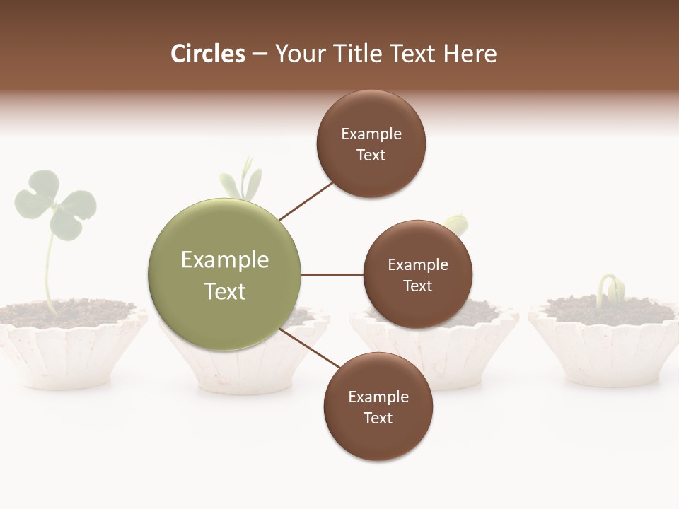 New Root Soil PowerPoint Template