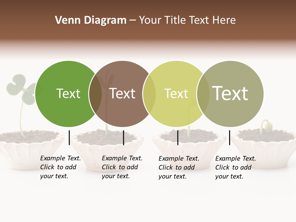 New Root Soil PowerPoint Template
