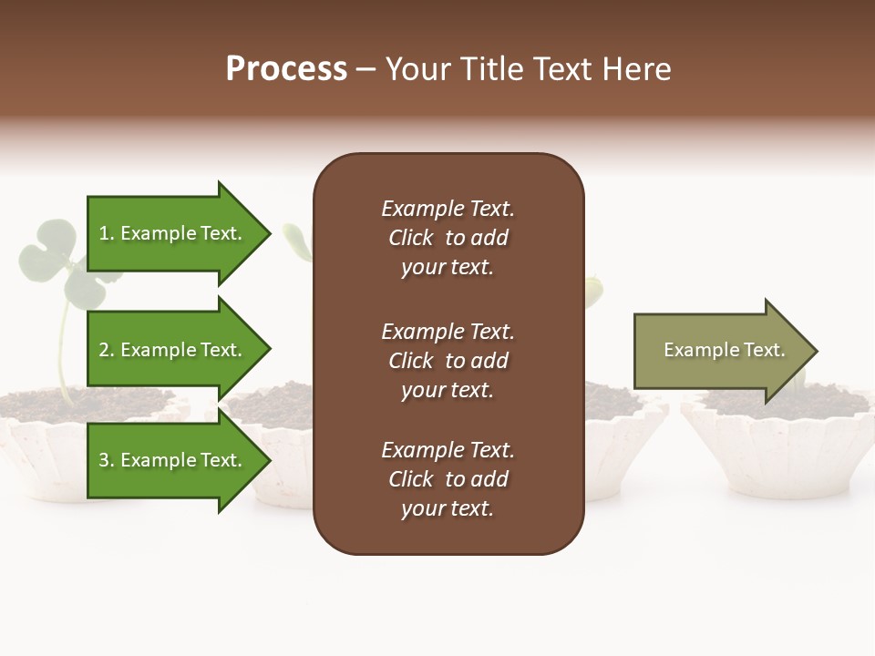 New Root Soil PowerPoint Template