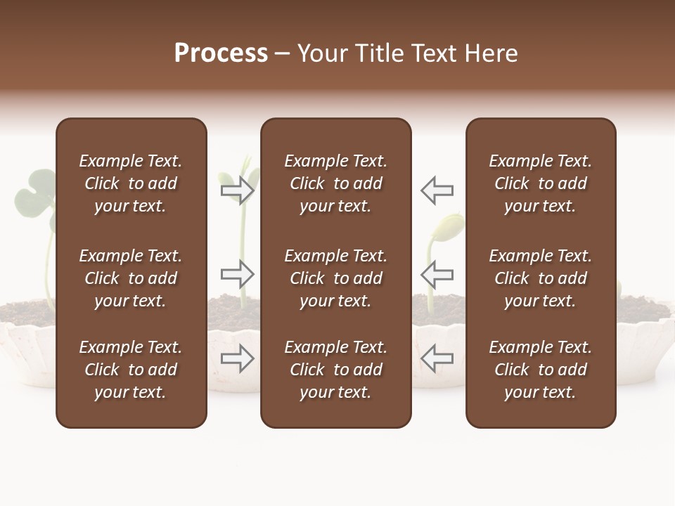 New Root Soil PowerPoint Template