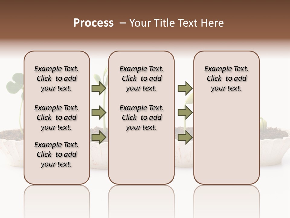 New Root Soil PowerPoint Template