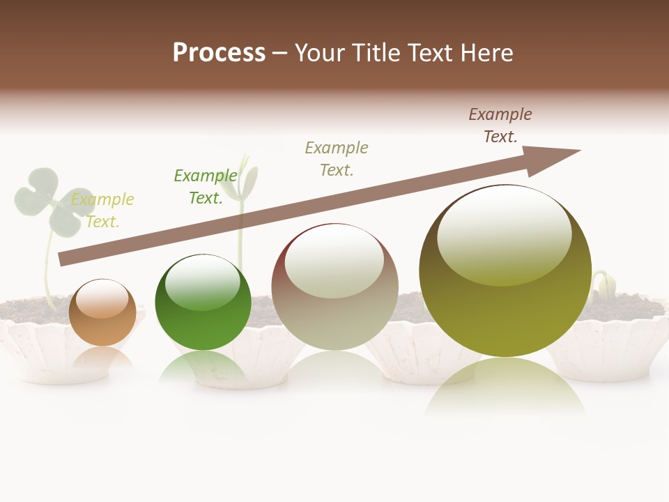 New Root Soil PowerPoint Template