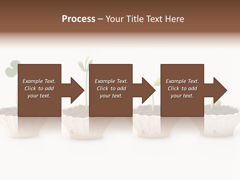 New Root Soil PowerPoint Template