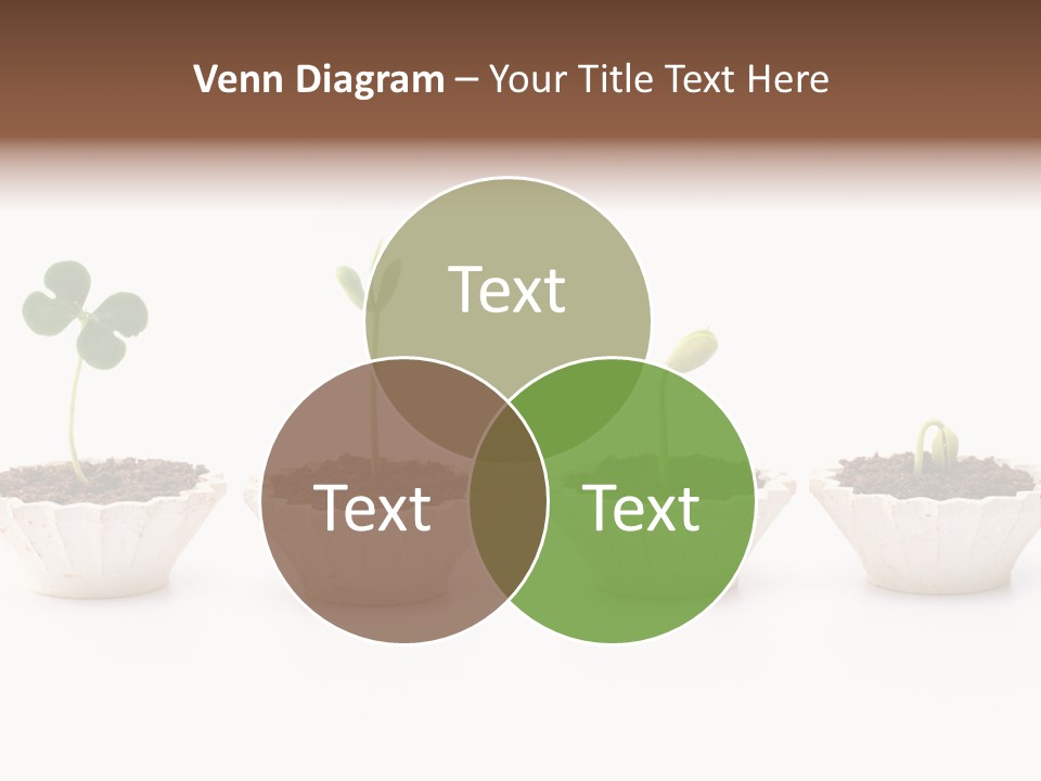 New Root Soil PowerPoint Template