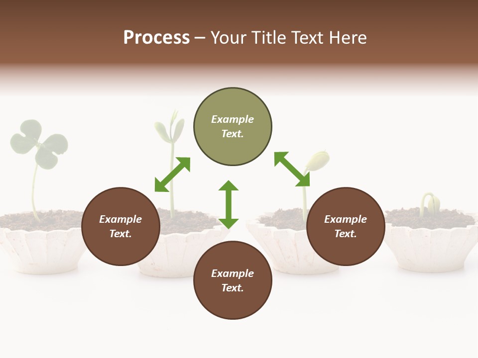 New Root Soil PowerPoint Template