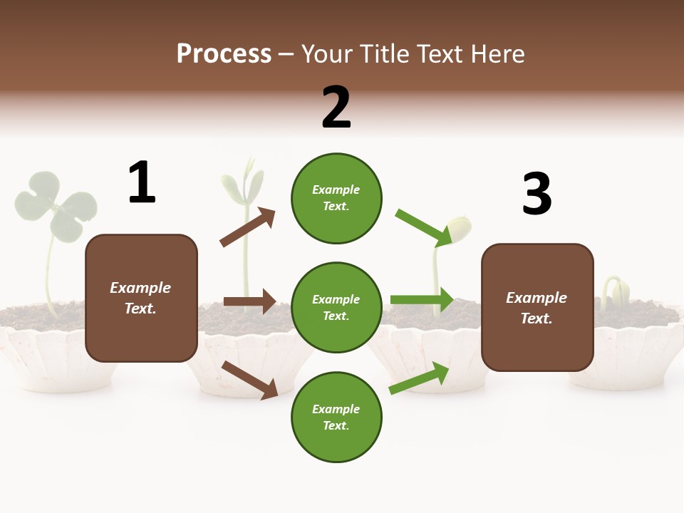 New Root Soil PowerPoint Template