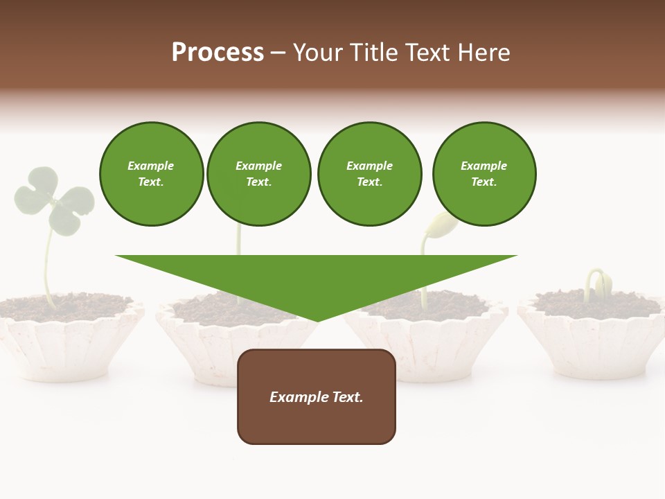 New Root Soil PowerPoint Template