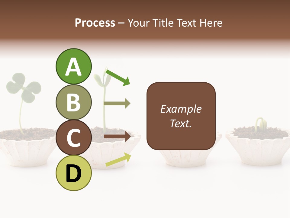 New Root Soil PowerPoint Template