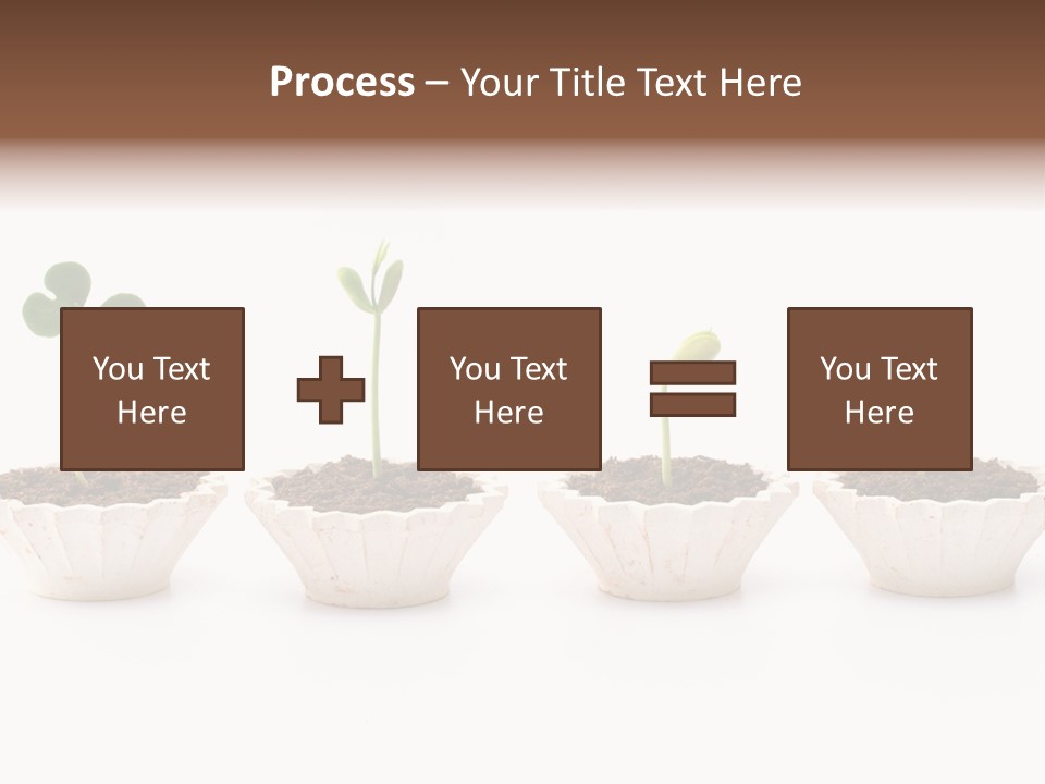 New Root Soil PowerPoint Template