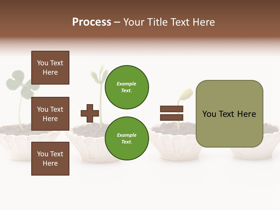 New Root Soil PowerPoint Template