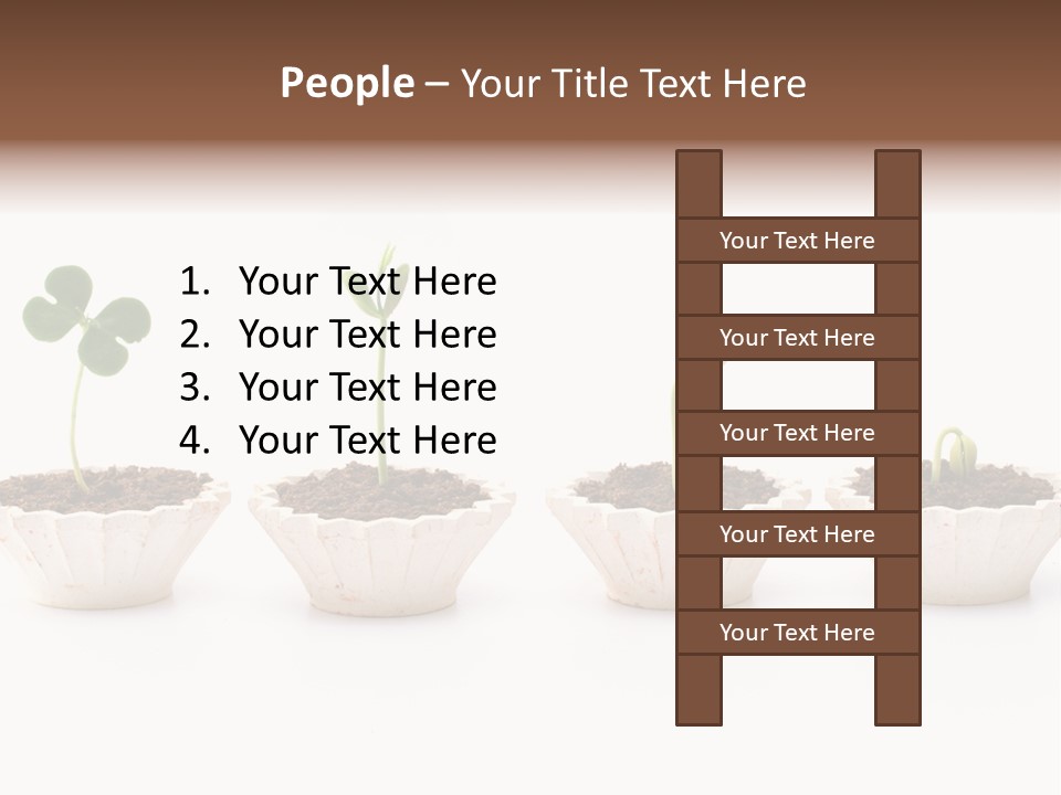 New Root Soil PowerPoint Template