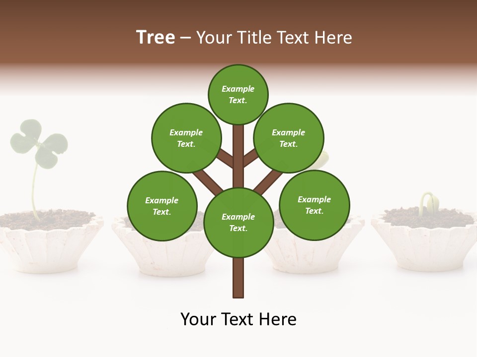 New Root Soil PowerPoint Template