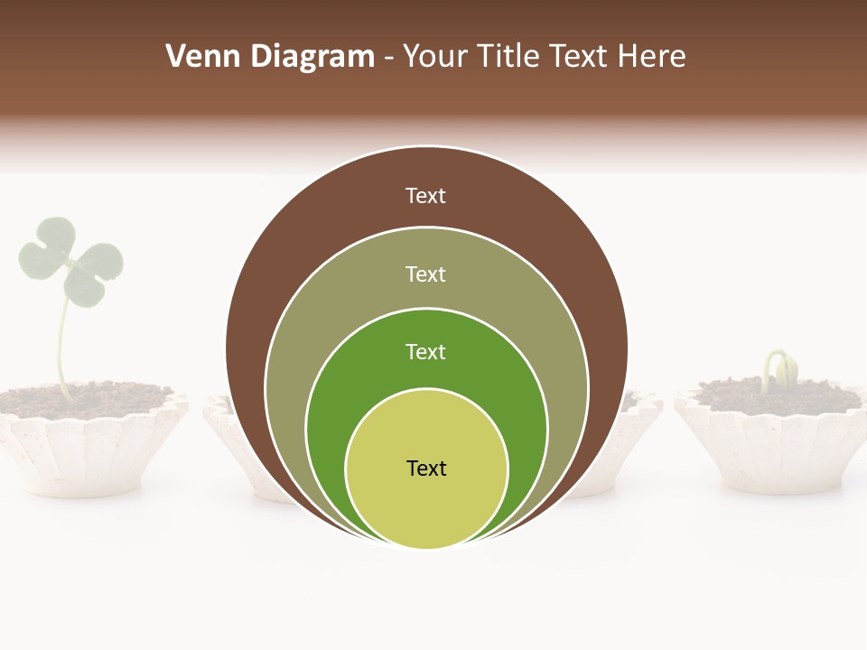 New Root Soil PowerPoint Template