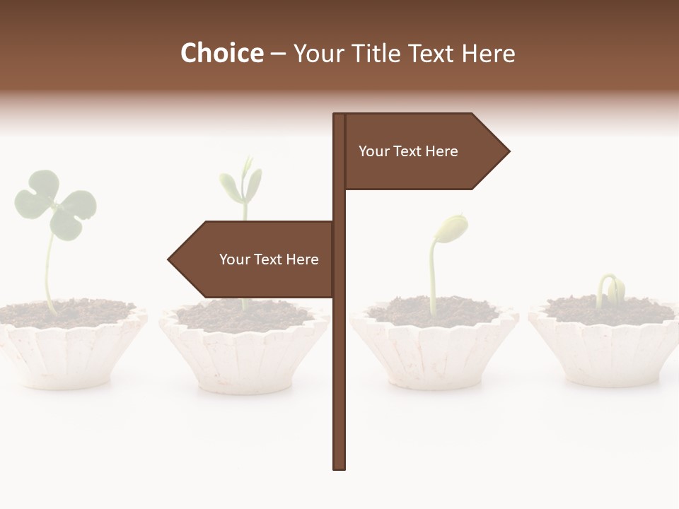 New Root Soil PowerPoint Template