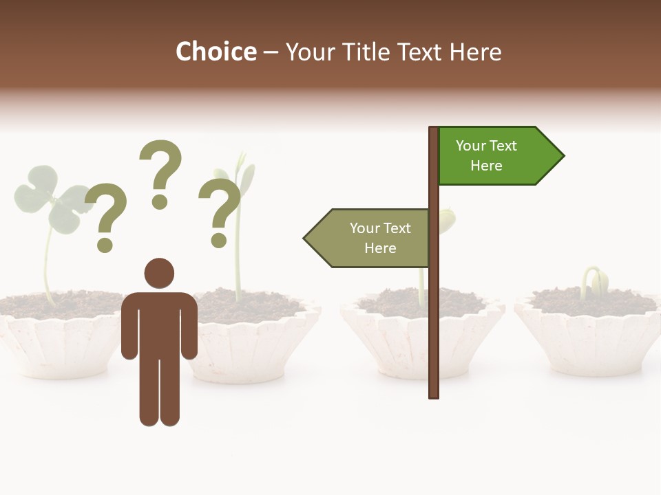 New Root Soil PowerPoint Template