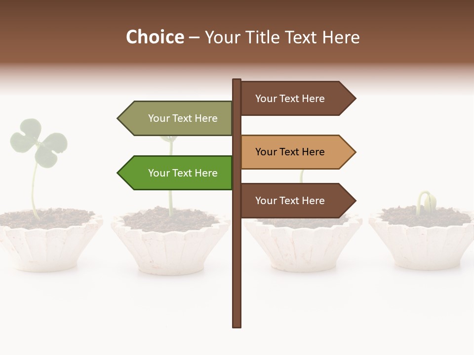 New Root Soil PowerPoint Template