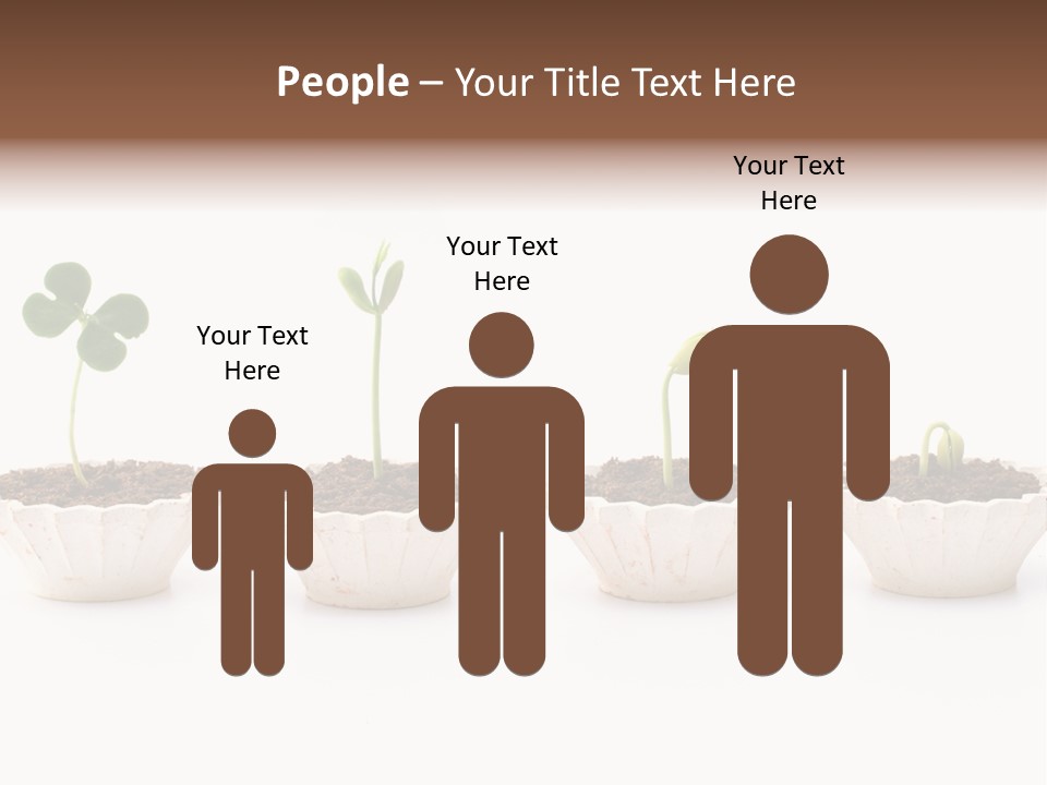 New Root Soil PowerPoint Template