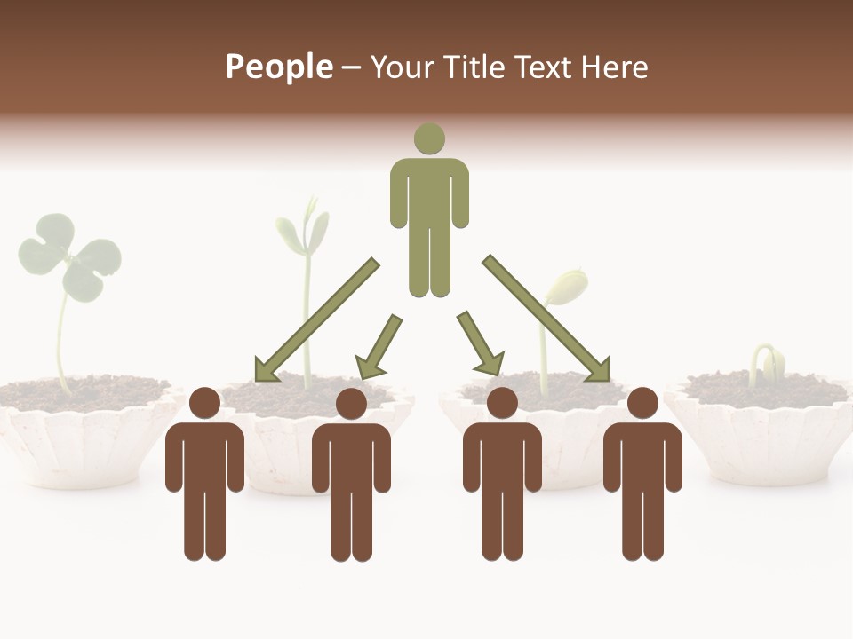 New Root Soil PowerPoint Template