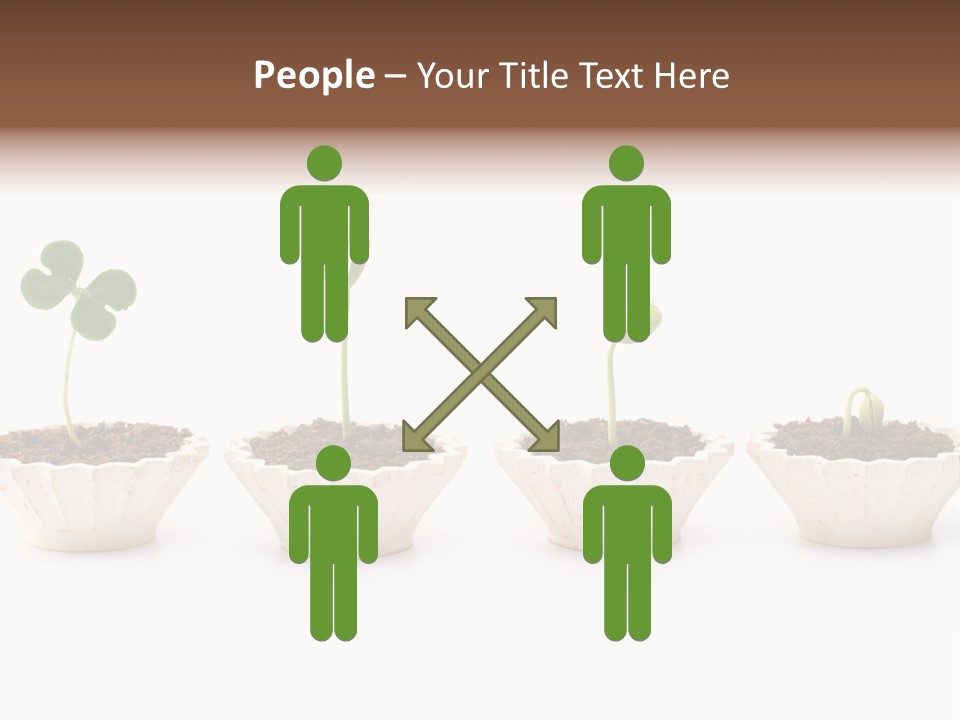 New Root Soil PowerPoint Template