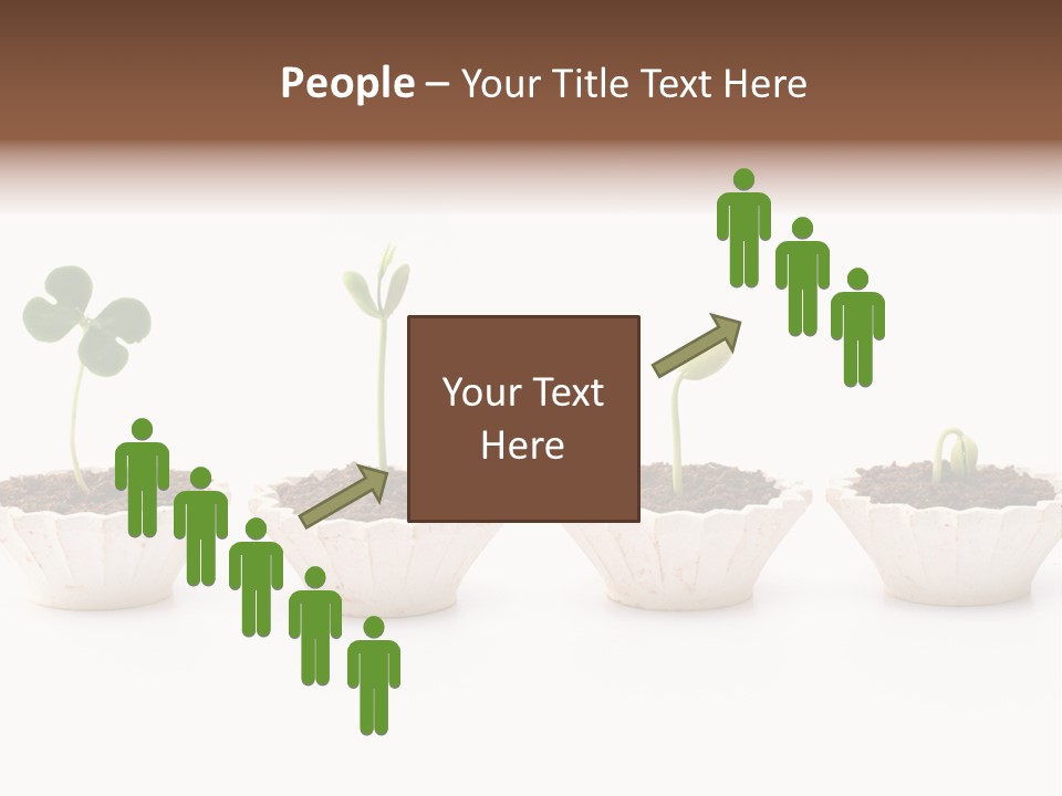 New Root Soil PowerPoint Template