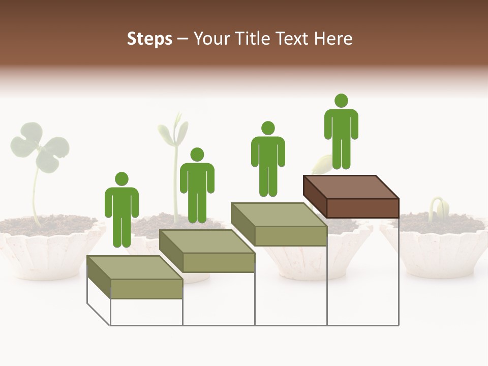New Root Soil PowerPoint Template