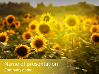 Pretty Crop Earth PowerPoint Template