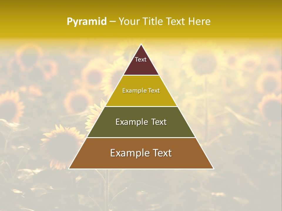 Pretty Crop Earth PowerPoint Template
