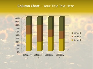 Pretty Crop Earth PowerPoint Template