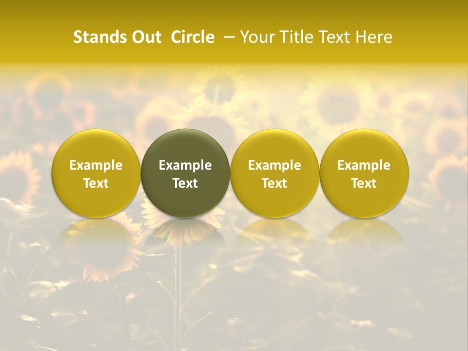 Pretty Crop Earth PowerPoint Template