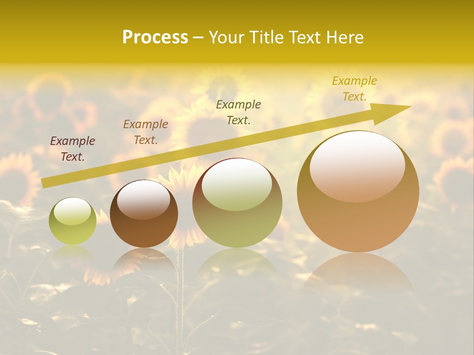 Pretty Crop Earth PowerPoint Template