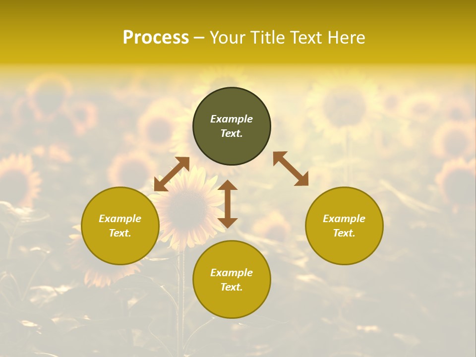 Pretty Crop Earth PowerPoint Template