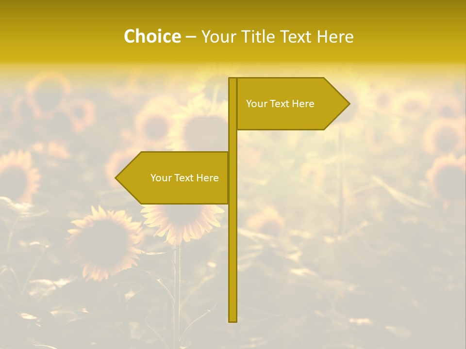 Pretty Crop Earth PowerPoint Template