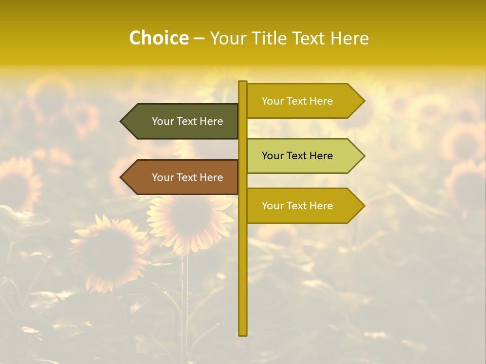 Pretty Crop Earth PowerPoint Template
