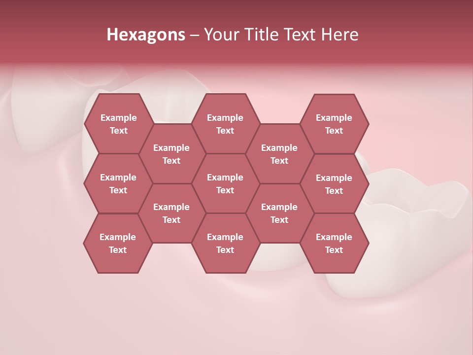 Wisdom Healthcare Bone PowerPoint Template