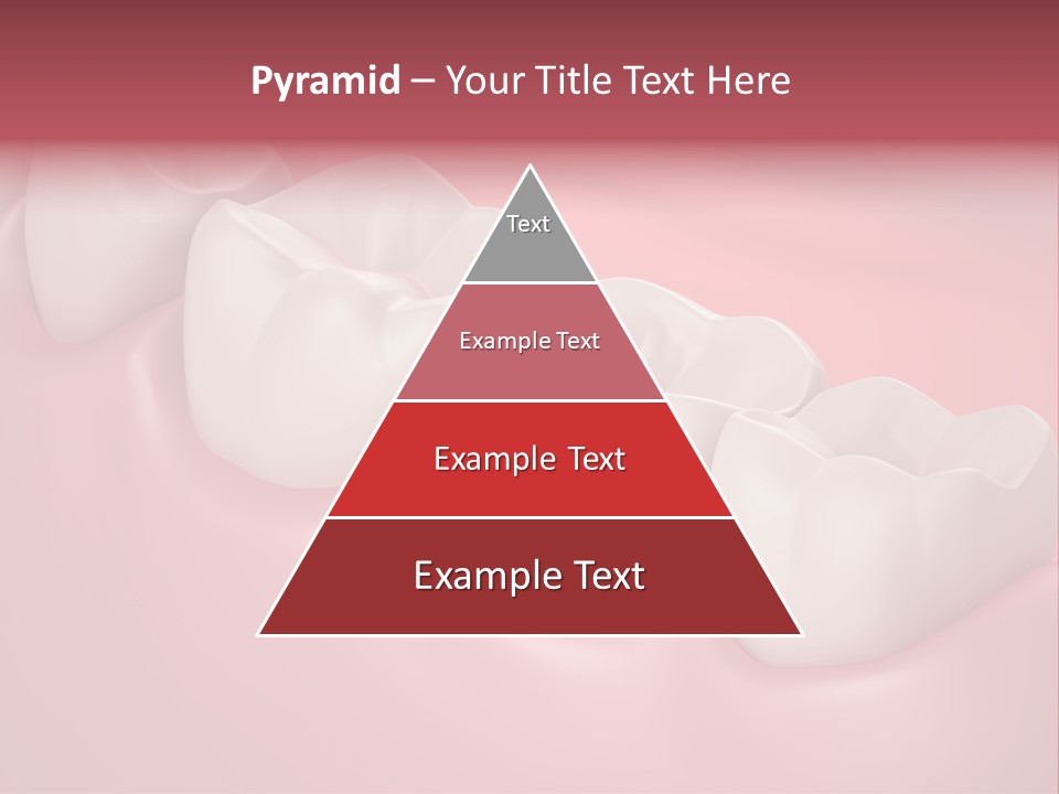 Wisdom Healthcare Bone PowerPoint Template