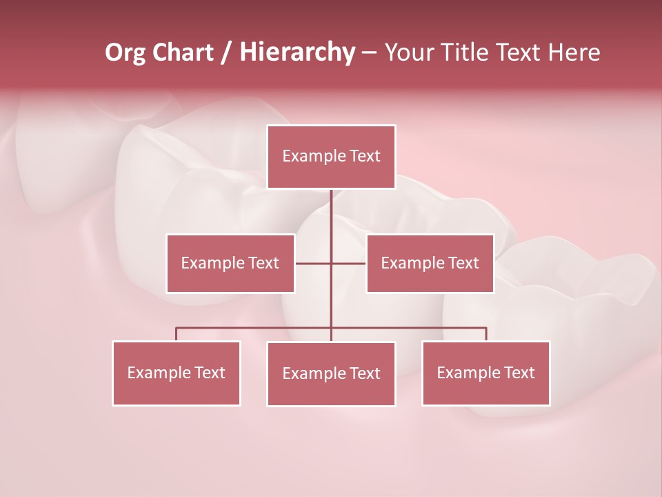 Wisdom Healthcare Bone PowerPoint Template