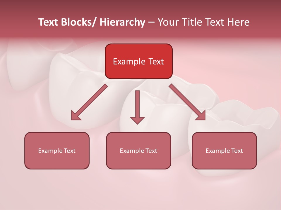 Wisdom Healthcare Bone PowerPoint Template