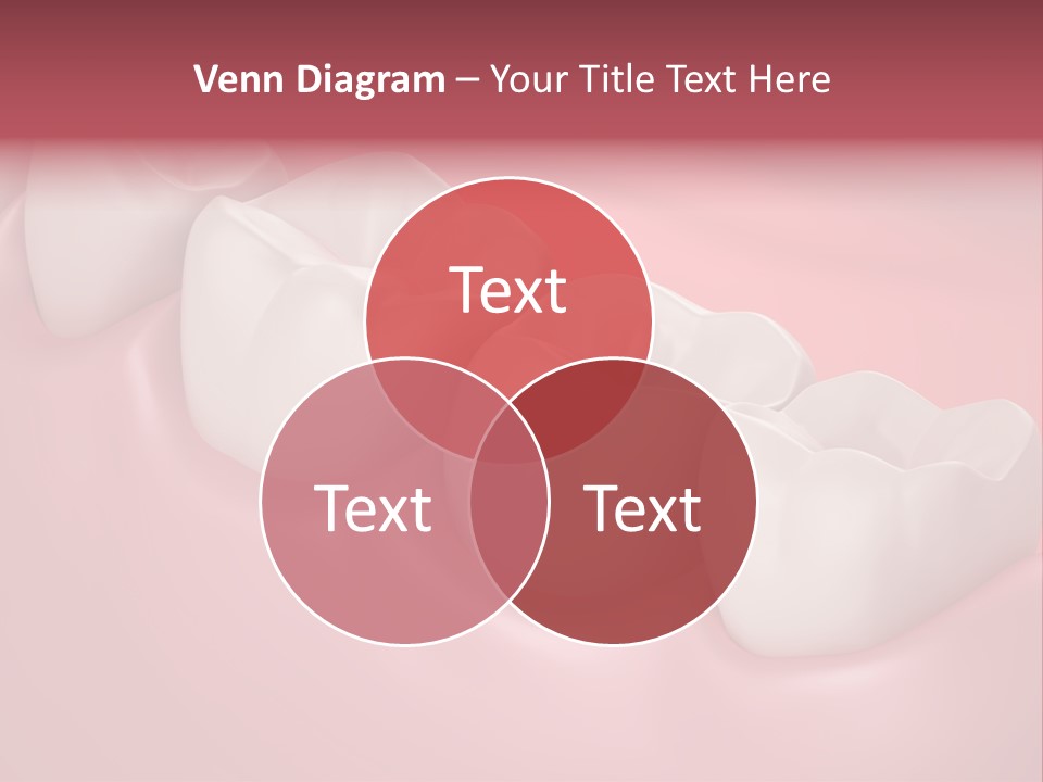 Wisdom Healthcare Bone PowerPoint Template