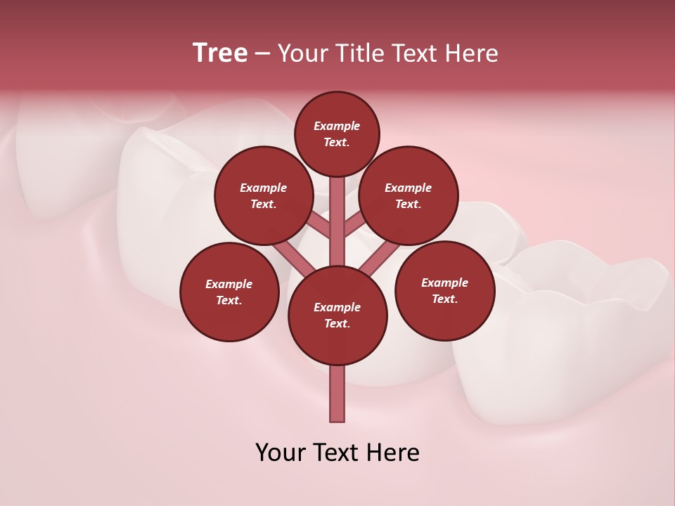 Wisdom Healthcare Bone PowerPoint Template