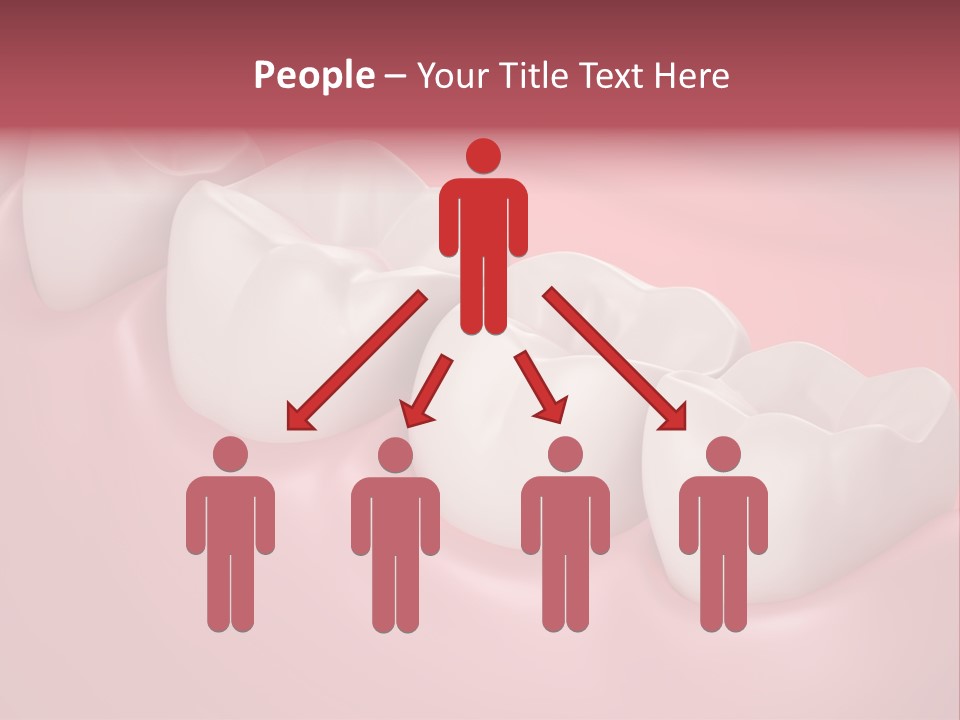 Wisdom Healthcare Bone PowerPoint Template