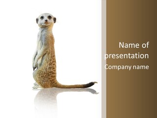 Upright Reflected Mammal PowerPoint Template