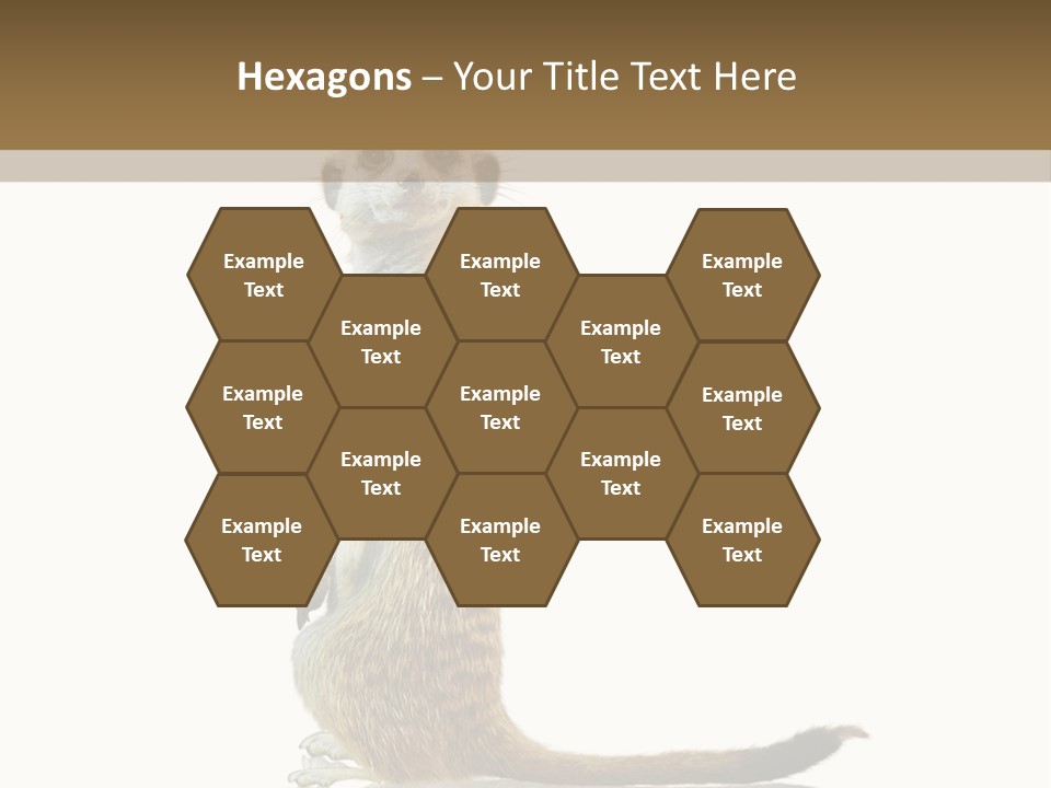 Upright Reflected Mammal PowerPoint Template