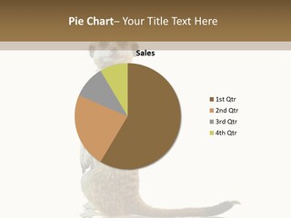 Upright Reflected Mammal PowerPoint Template