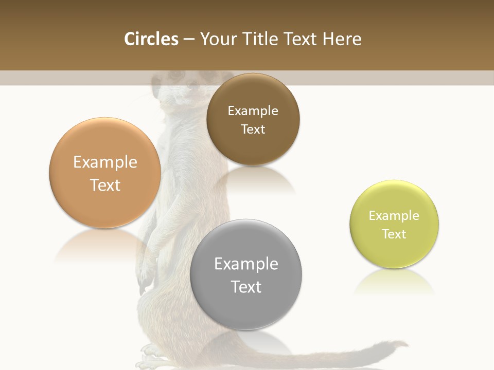 Upright Reflected Mammal PowerPoint Template