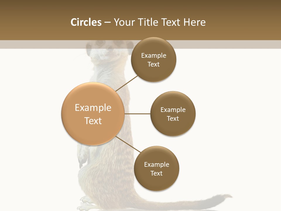 Upright Reflected Mammal PowerPoint Template