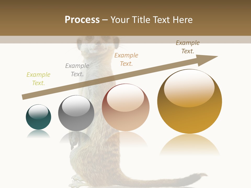 Upright Reflected Mammal PowerPoint Template