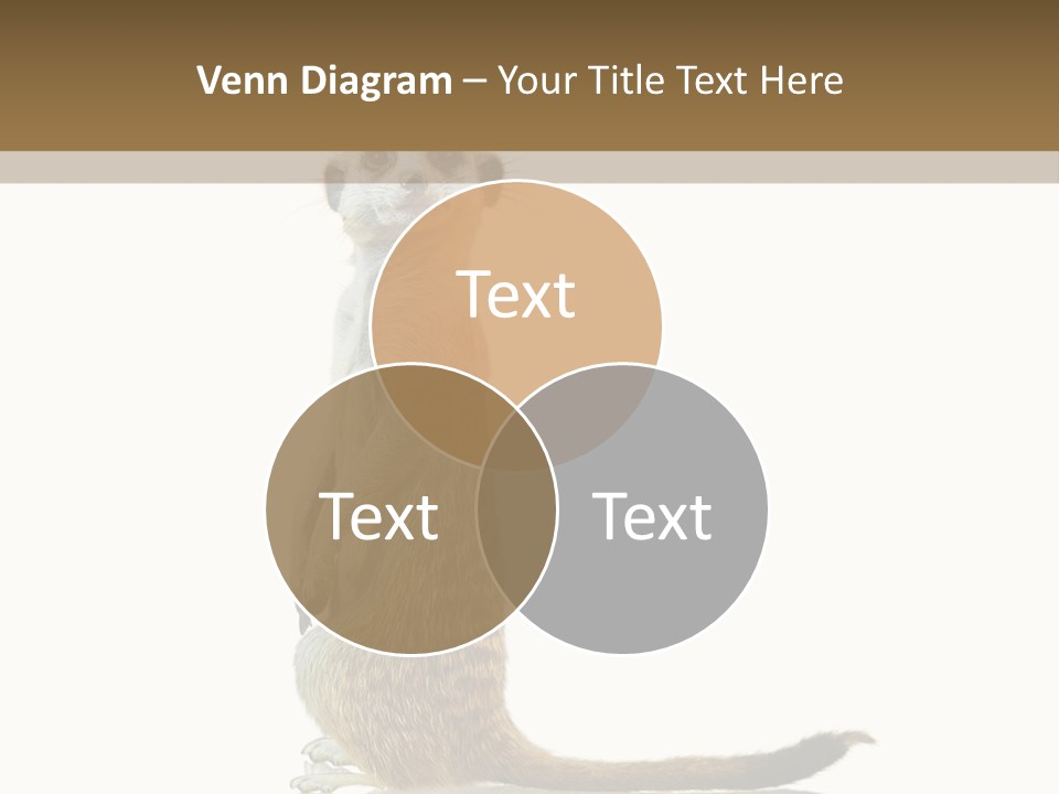 Upright Reflected Mammal PowerPoint Template