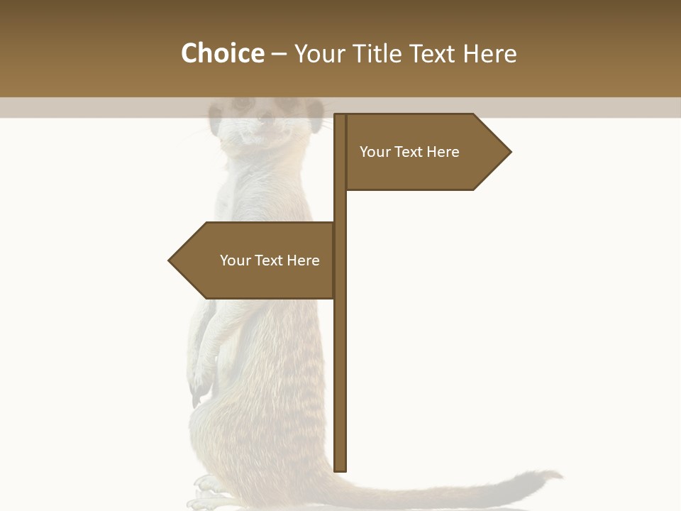 Upright Reflected Mammal PowerPoint Template