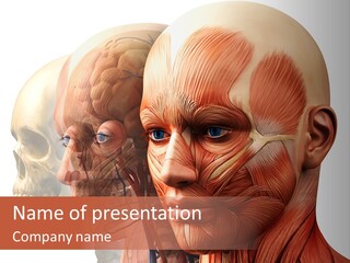 Li Ten Per On Conference PowerPoint Template